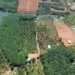 Bán đất vườn 5ha view hồ, 1,5ha cà phê, 1,5ha cao su tại xã Nhân Cơ - Ảnh thu nhỏ 2
