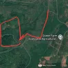 20 000 000m2 (2000 ha) rừng sản xuất theo dự án cây lâm nghiệp, dược liệu kết hợp du lịch sinh thái - Ảnh thu nhỏ 5