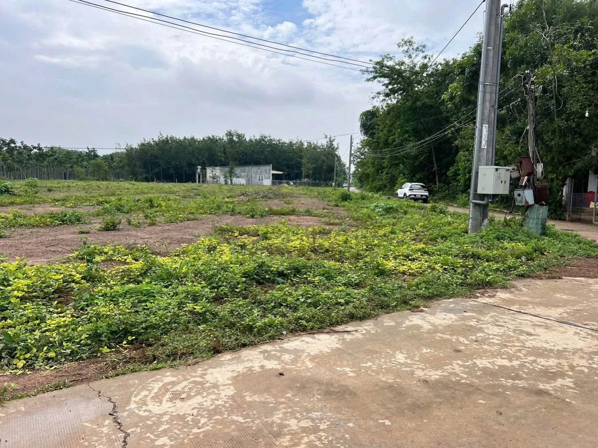 Bán đất Tân Khai 250m² hơn 200 triệu - Ảnh thu nhỏ 3