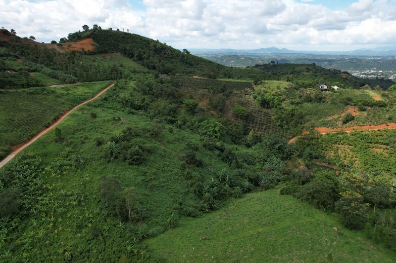 Bán đất 11.000m² (1,1ha) Lộc Thành Bảo Lộc 3,3 tỷ đồng