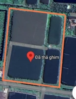 Ngân hàng thanh lý đất ở Trần Đề - Ảnh thu nhỏ 4