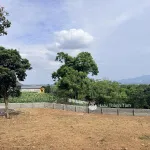 Bán gấp 2.000m2 có 200m2 thổ cư 2 mặt tiền chạy quanh đất - Ảnh thu nhỏ 15