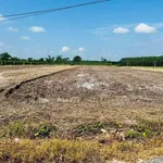 Bán đất vườn 5x100m (500m2) đường nhựa 8m tại Phường Bình Minh, Tây Ninh - Ảnh thu nhỏ 1