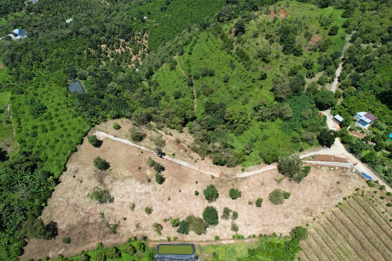 Bán đất 7000m² view đồi Tân Lạc, Bảo Lộc, giảm 350 triệu còn 3,5 tỷ