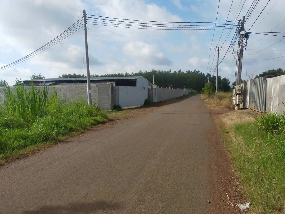 Bán 5500m² đất trồng cây Trảng Bom, giá 2 tỷ - Ảnh thu nhỏ 3