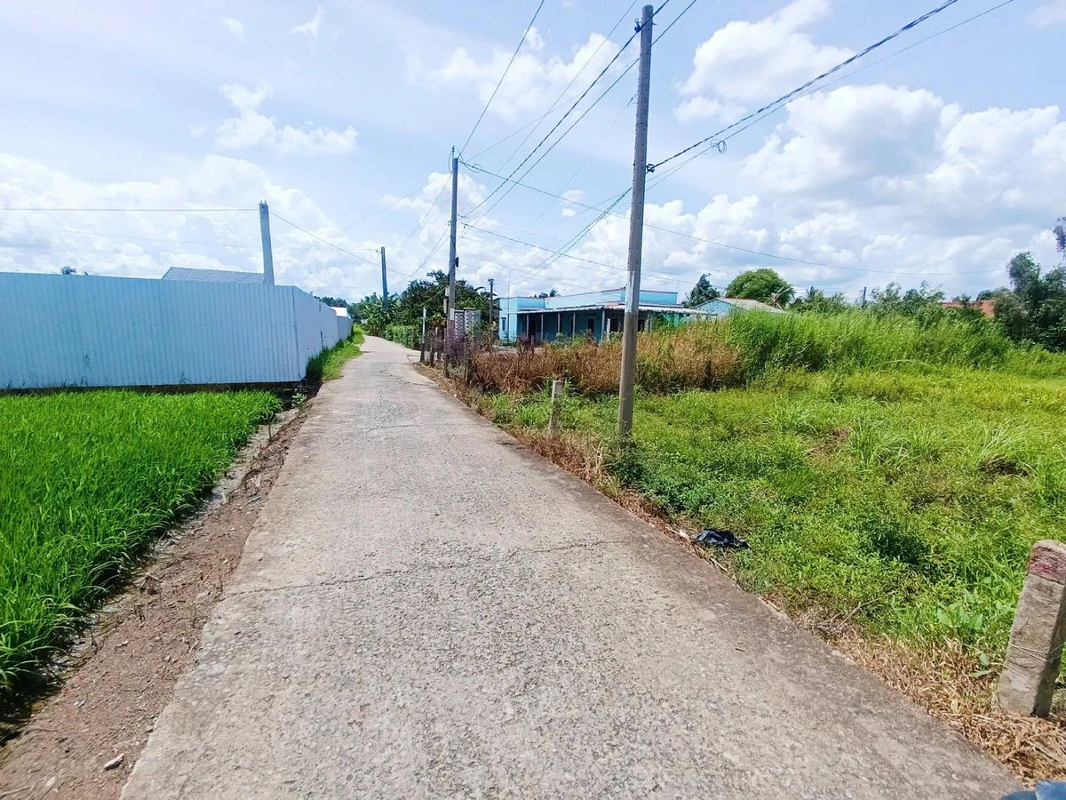 Bán đất thổ cư 5x27m giá 440 triệu tại xã Đức Tân, Tân Trụ, Long An - Ảnh thu nhỏ 5