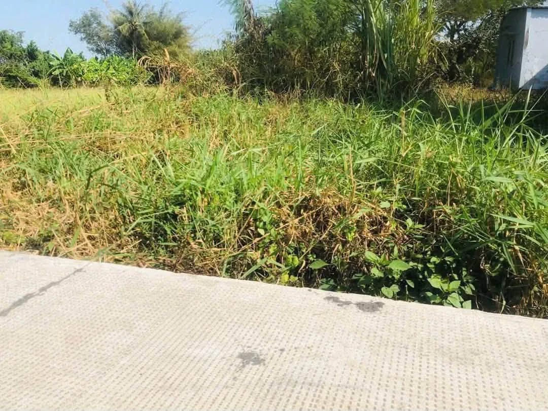 Bán đất 5x49m nền ô tô Bình Tâm 1 tỷ 250 triệu - Ảnh thu nhỏ 3