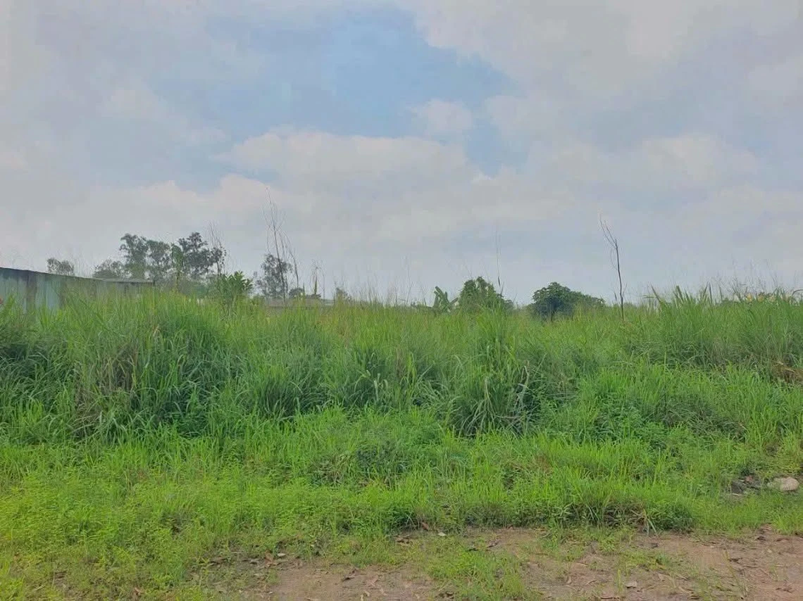 Bán đất góc 2 mặt tiền 1000m² Thiện Tân Vĩnh Cửu Đồng Nai - Ảnh 1
