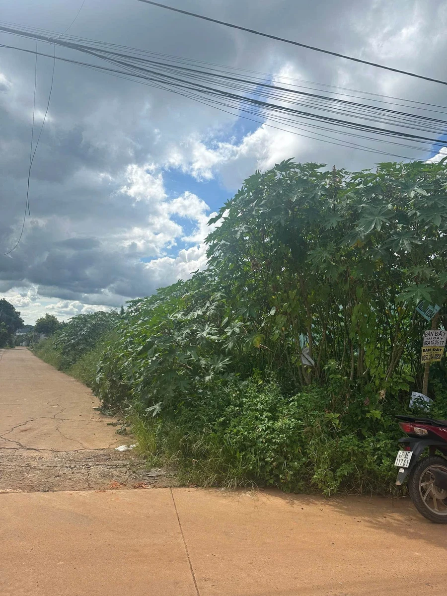Bán đất góc 2 mặt tiền 5x24m, 128 Đồng Khởi, Buôn Ma Thuột giá 4,5 tỷ - Ảnh 1