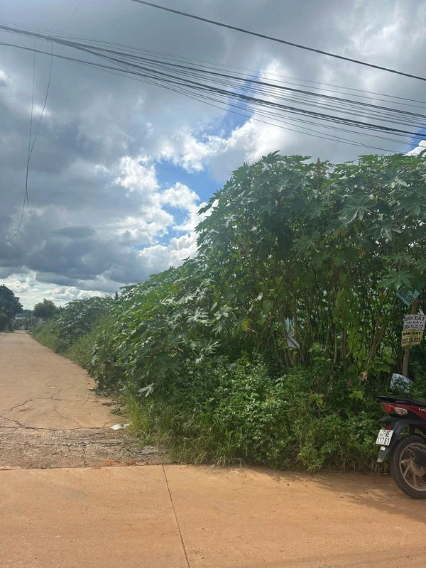 Bán đất góc 2 mặt tiền 5x24m, 128 Đồng Khởi, Buôn Ma Thuột giá 4,5 tỷ