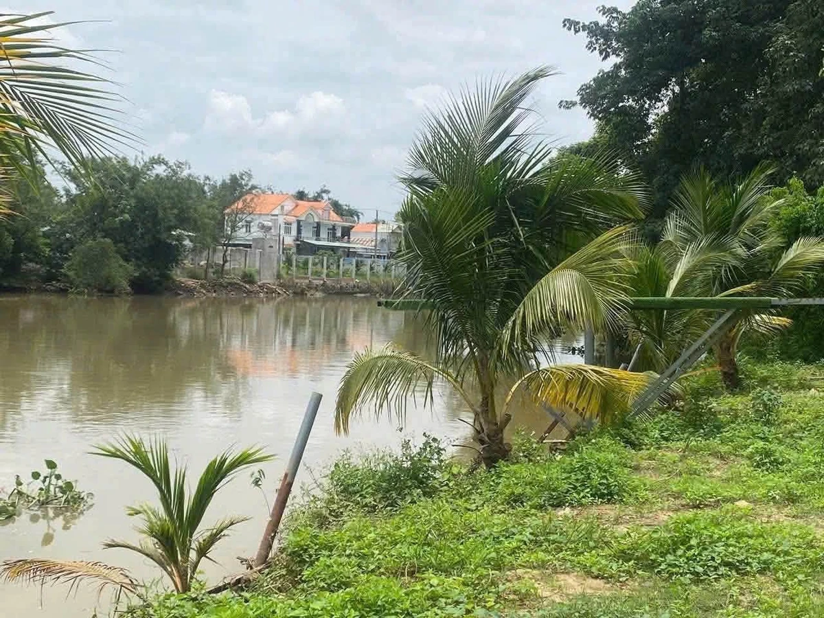 Bán đất view sông 9.600m² mặt tiền 150m Biên Hòa Dĩ An - Ảnh thu nhỏ 5