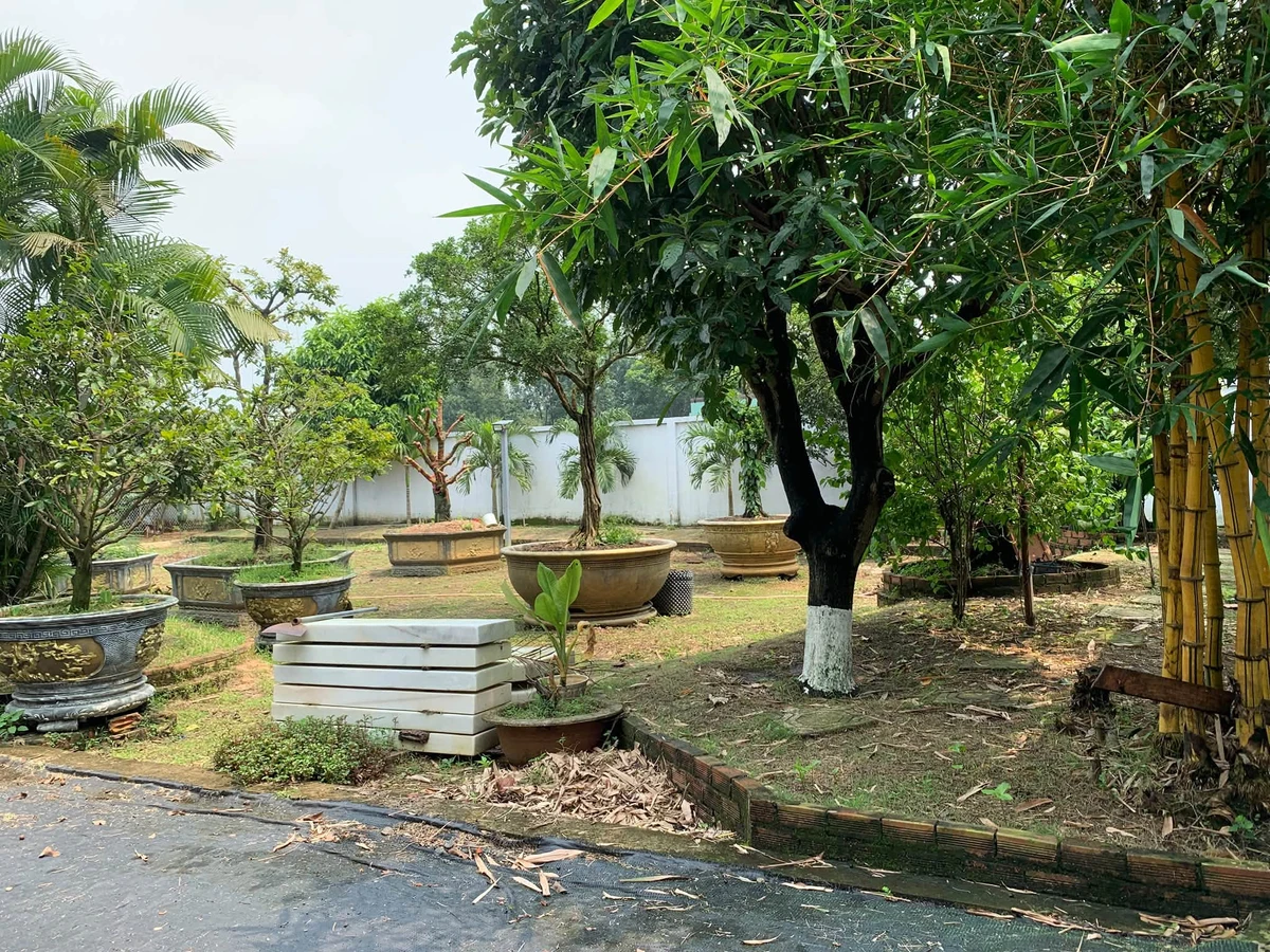 Bán đất 1000m2 thổ cư 25x40m Trảng Bom 5.6 tỷ - Ảnh thu nhỏ 4