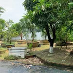 Bán đất 1000m2 thổ cư 25x40m Trảng Bom 5.6 tỷ - Ảnh thu nhỏ 4