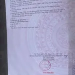 Bán nhà mặt tiền Phạm Ngọc Thảo, 390m², 2PN, Bình Chánh - Ảnh thu nhỏ 5