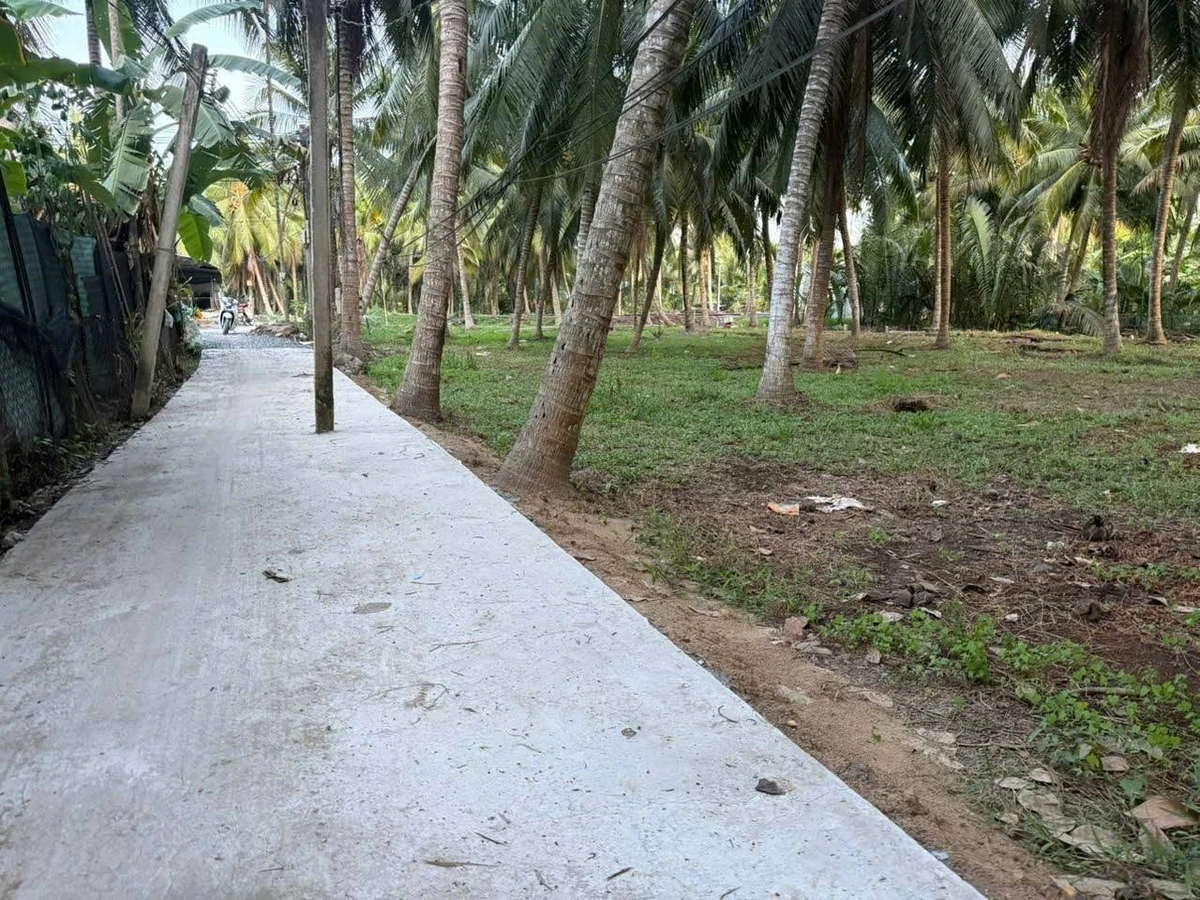 Bán đất vườn dừa 512m² mặt tiền ô tô tại Hòa Lộc - Ảnh thu nhỏ 4