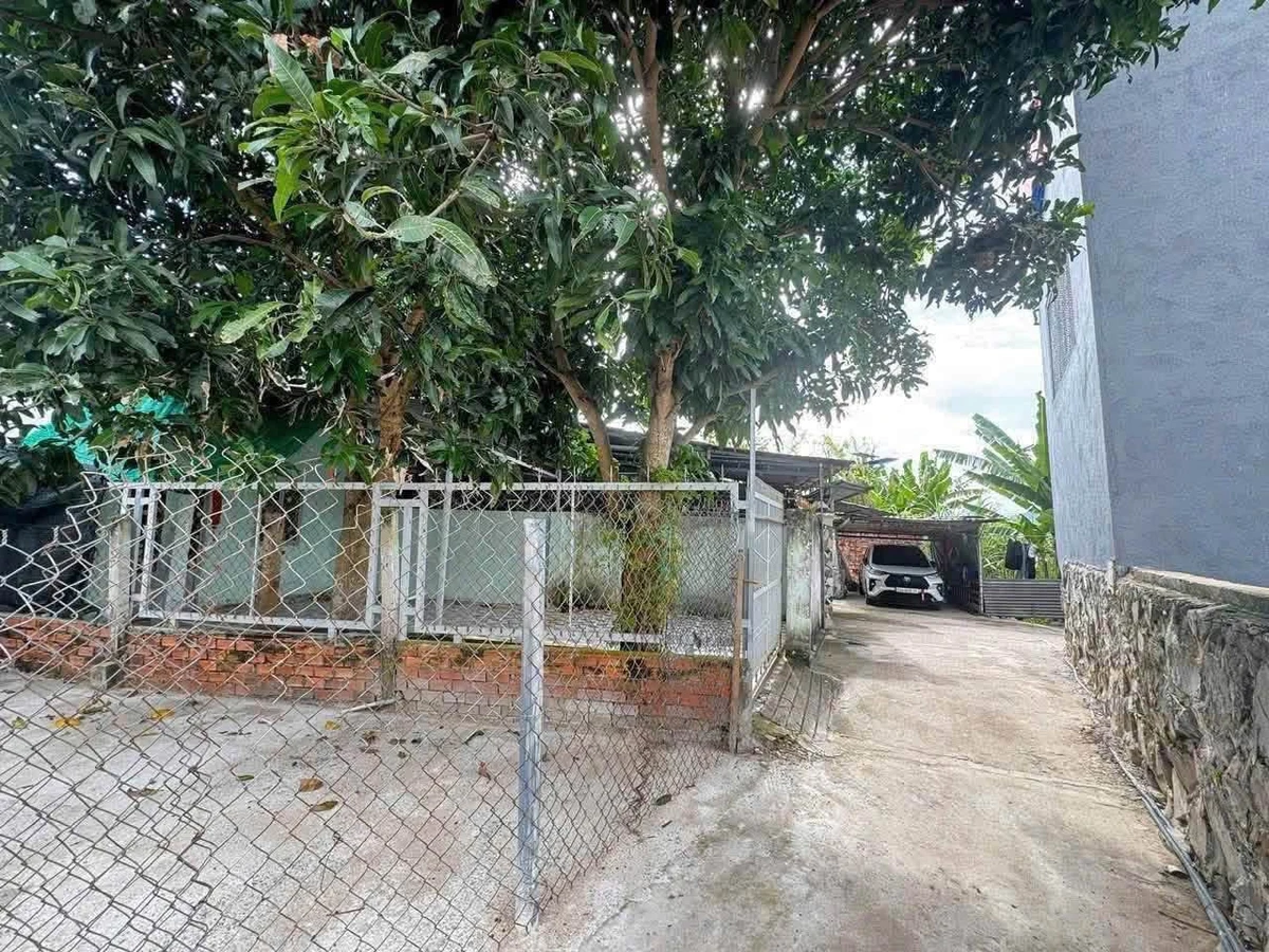 Bán nhà cấp 4, 113m2, Phường Tam Long, 1 tỷ 850 triệu - Ảnh thu nhỏ 3