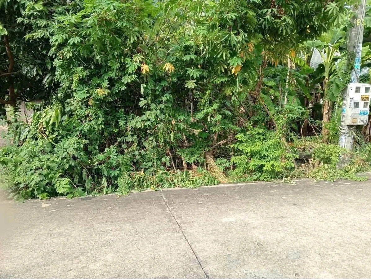 Bán lô đất thổ cư 100m2 đường nhánh Bà 39, Phường Phú An, giá 1,45 tỷ - Ảnh thu nhỏ 5