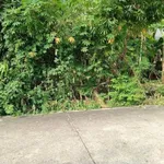 Bán lô đất thổ cư 100m2 đường nhánh Bà 39, Phường Phú An, giá 1,45 tỷ - Ảnh thu nhỏ 5