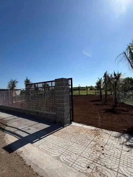Bán lô đất vườn 1482m² view lúa Đất Đỏ Nhà Bè - Ảnh thu nhỏ 3