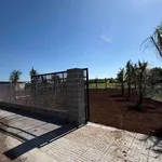 Bán lô đất vườn 1482m² view lúa Đất Đỏ Nhà Bè - Ảnh thu nhỏ 3