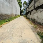 Bán đất 302m2 (180m2 thổ cư) gần điện máy Chợ Lớn, phường Bến Tre, giá 1,7 tỷ - Ảnh thu nhỏ 4