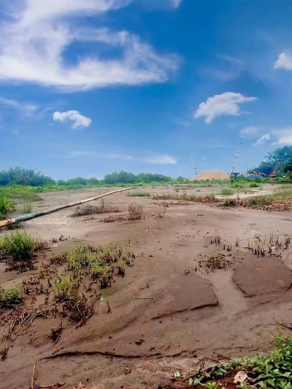 Bán 20.000m² đất mặt tiền cảng Giao Long Bến Tre