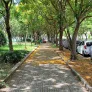 Bán gấp rẻ căn hộ Sunview Town Hiệp Bình Thủ Đức 2PN 2WC 63m² sổ hồng sẵn cách QL13 mở rộng 500 mét - Ảnh thu nhỏ 18