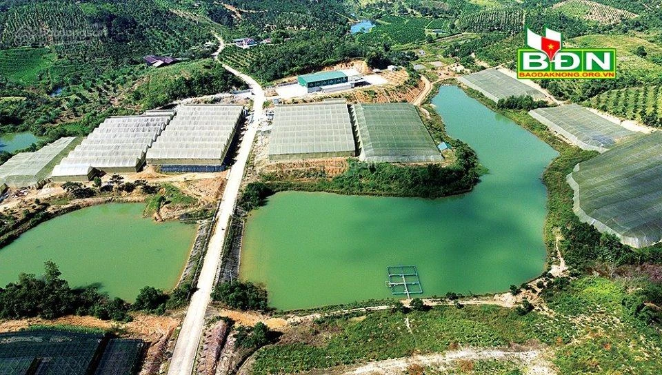 Quỹ đất gần 2000m mặt tiền Quốc lộ, ngang 20m tại Đắk Nia, Gia Nghĩa, giá chỉ từ 4,5 tỷ - Ảnh thu nhỏ 4