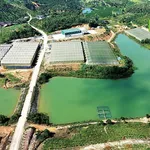 Quỹ đất gần 2000m mặt tiền Quốc lộ, ngang 20m tại Đắk Nia, Gia Nghĩa, giá chỉ từ 4,5 tỷ - Ảnh thu nhỏ 4