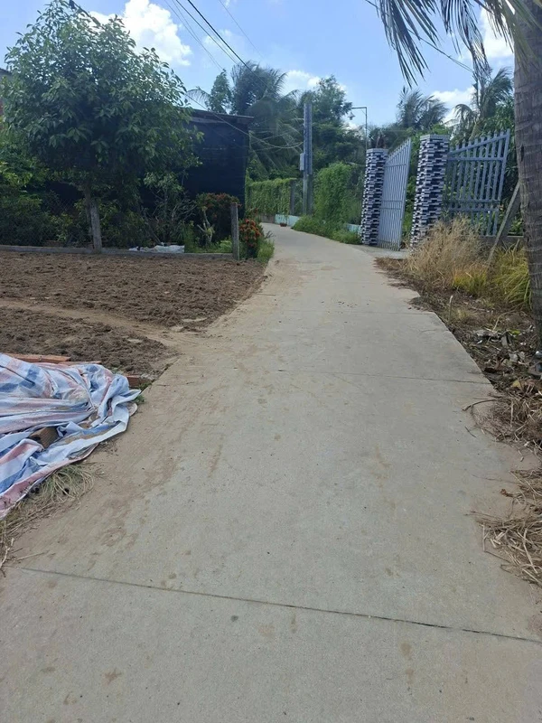 Bán đất nền 125m² Tam Hiệp, Châu Thành, Tiền Giang