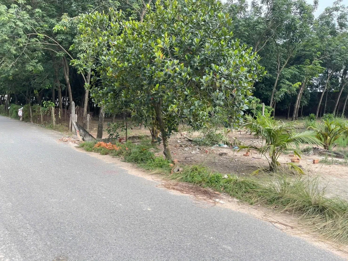 Bán đất 201m² (14x14,5m) Hòa Lợi, gần ĐT741, giá 2,4 tỷ - Ảnh thu nhỏ 2