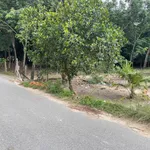 Bán đất 201m² (14x14,5m) Hòa Lợi, gần ĐT741, giá 2,4 tỷ - Ảnh thu nhỏ 2