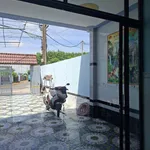 Bán nhà cấp 4 diện tích 4,7x30m, sổ hồng riêng, ấp Thượng, Tân Thông Hội, Củ Chi - Ảnh thu nhỏ 3