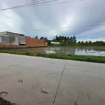 Bán lô đất 10x33m mặt tiền Đức Hòa Thượng, Bình Chánh - Ảnh thu nhỏ 3