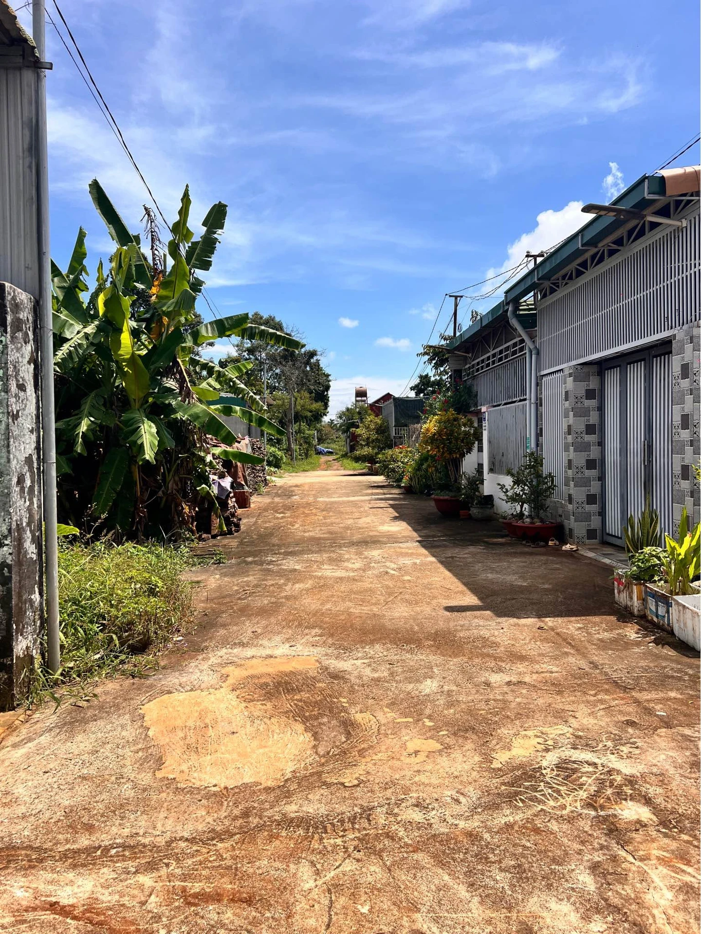 Bán đất hẻm Tỉnh Lộ 8 154m² Bình Chánh - Ảnh 1