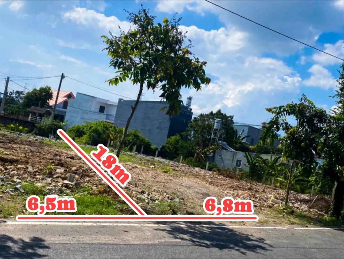 Bán 2 lô đất mặt tiền Làng Bưởi Tân Triều 64-68m² Đồng Nai - Ảnh thu nhỏ 2