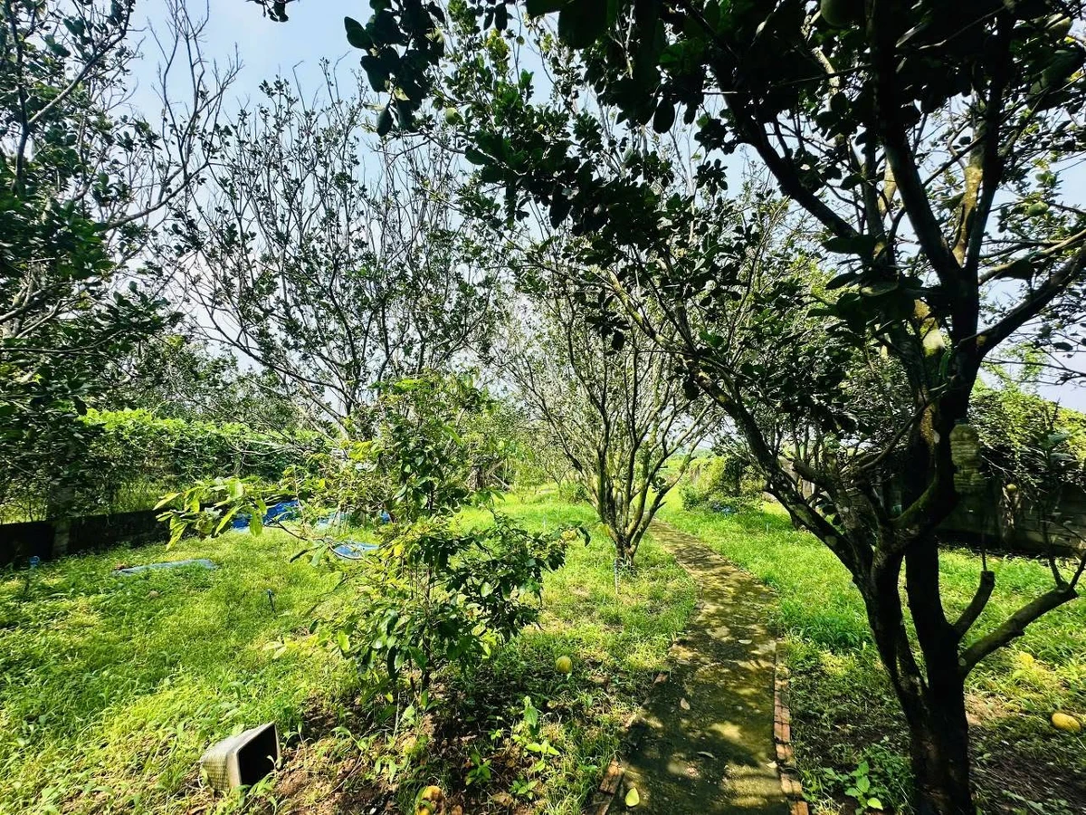 Bán nhà vườn 2335m2 với hồ bơi, Đồng Nai - Ảnh thu nhỏ 5