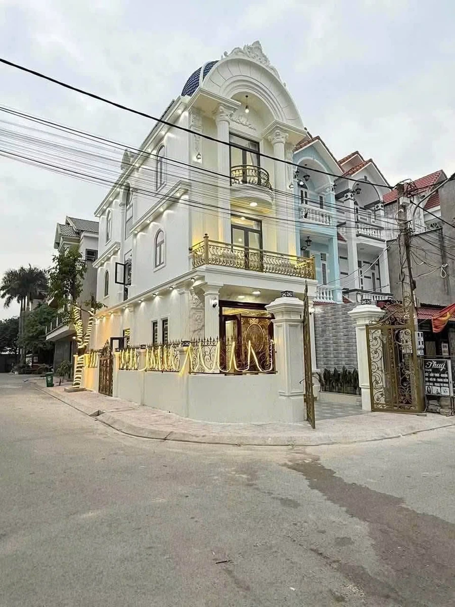 Biệt thự tân cổ điển góc hai mặt tiền 100m2, Thuận An, Bình Dương - Ảnh thu nhỏ 2