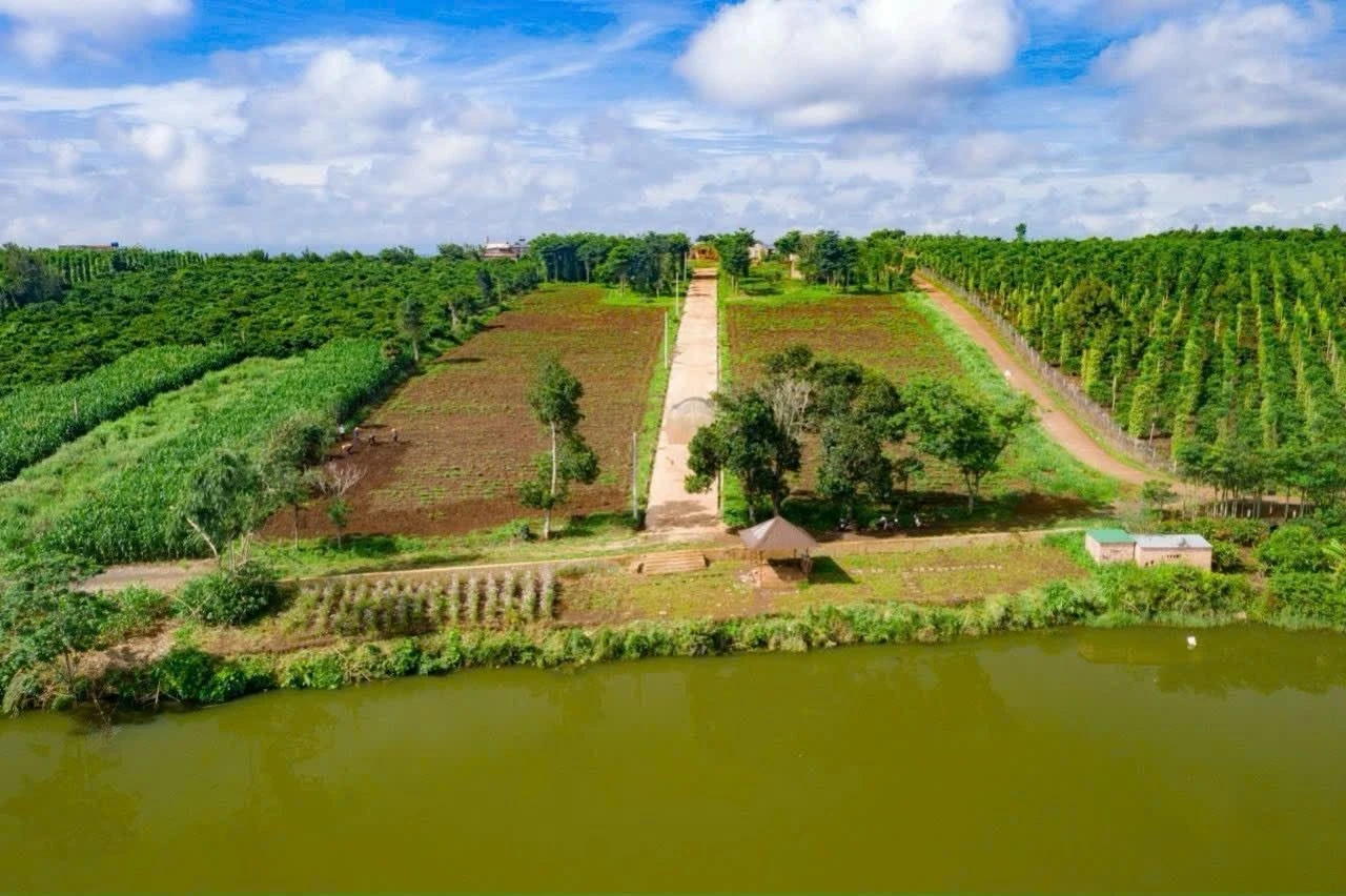Bán đất Cần Giờ 362,5m², 600 triệu - Ảnh 1