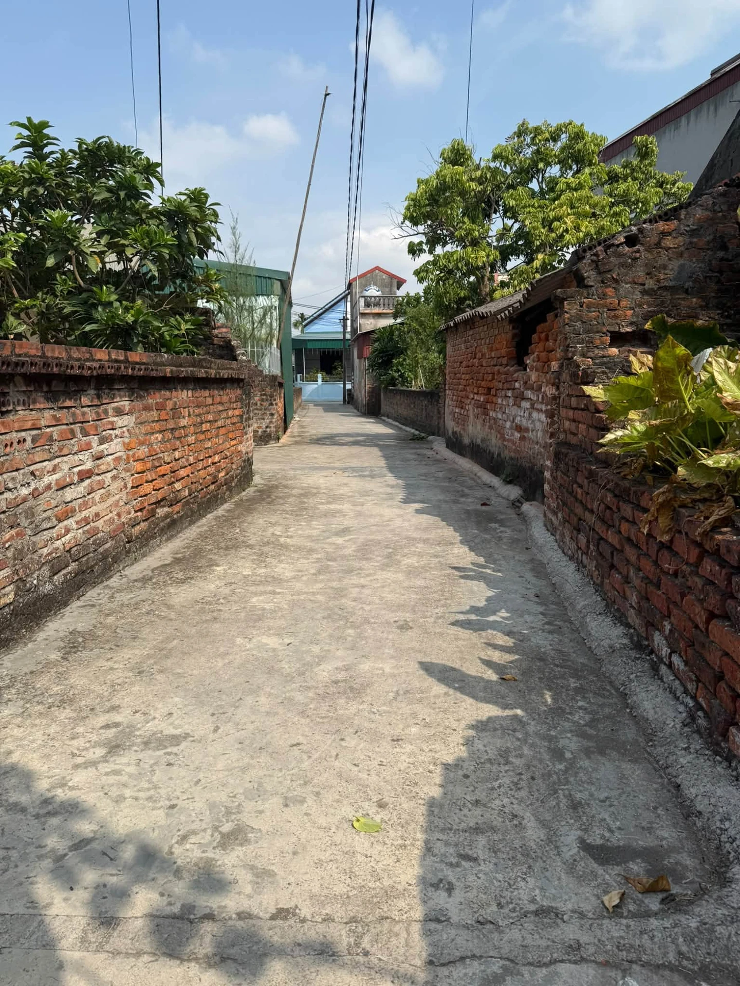 Bán lô đất 700m² Phù Liễn Nam Sách - Ảnh 1