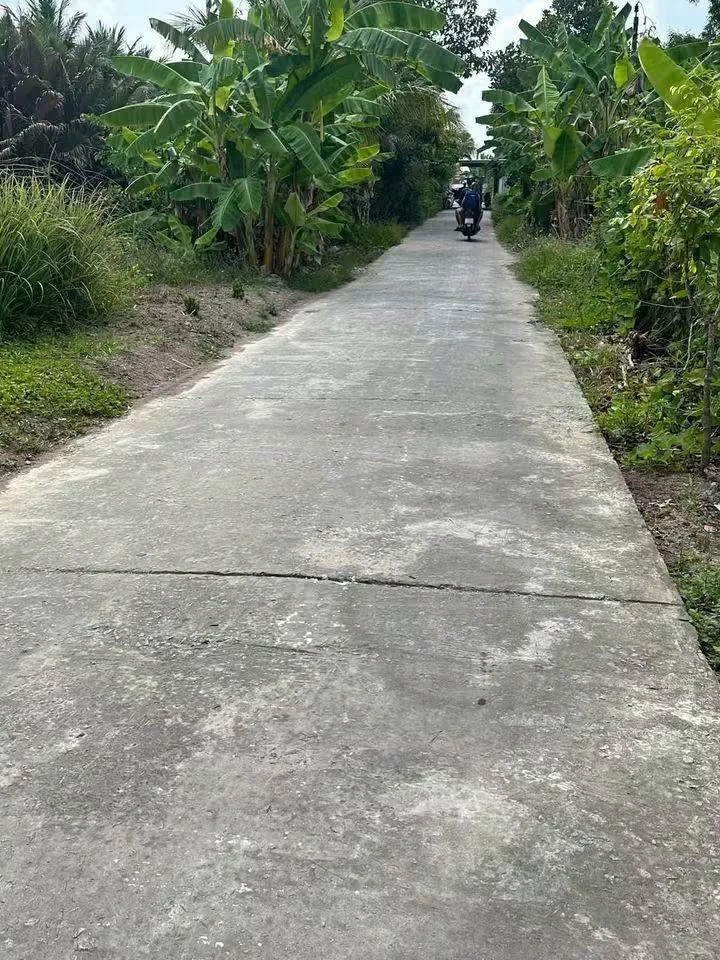Bán nền 10x68m mặt tiền Lộ Đan, Phước Long, Cà Mau - Ảnh thu nhỏ 3