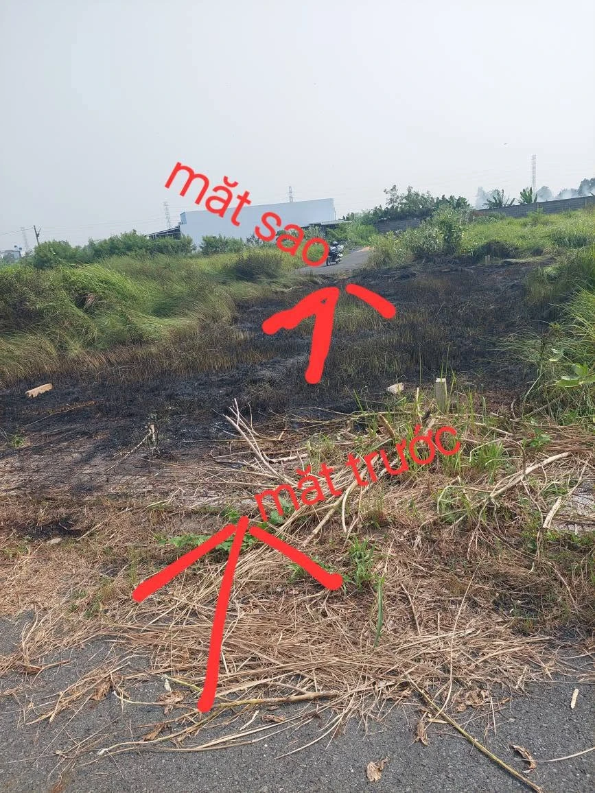 Bán nền đất 87m² thổ cư Tân Lân Nam Phong Cần Dước 790 triệu - Ảnh thu nhỏ 4