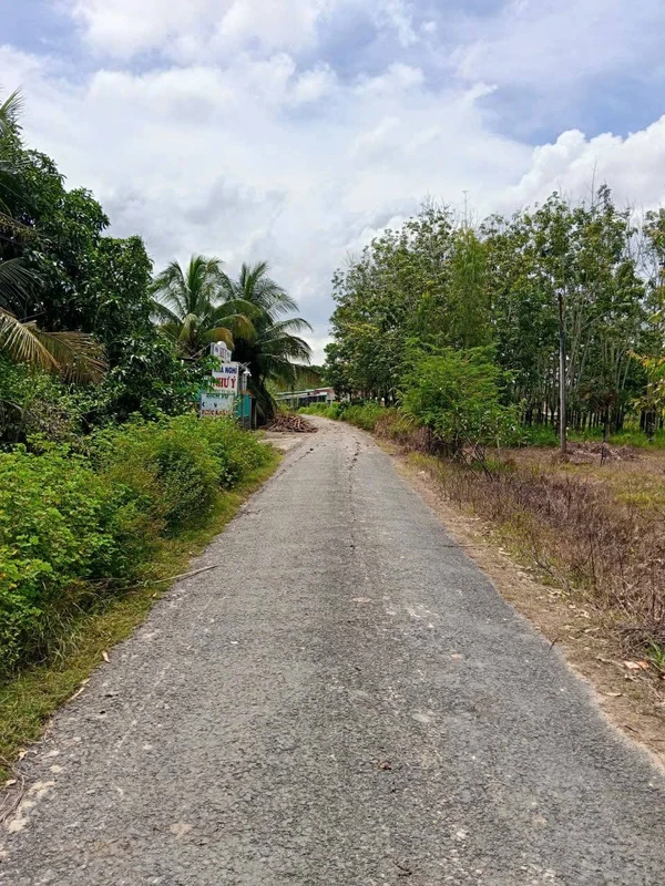 Bán đất 5x68m (340m²) sổ CLN Tân Biên, Tây Ninh
