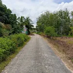 Bán đất 5x68m (340m²) sổ CLN Tân Biên, Tây Ninh - Ảnh thu nhỏ 1