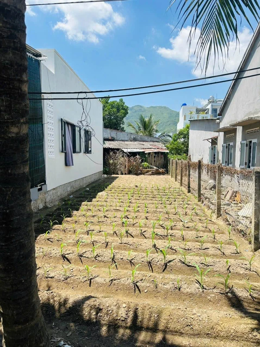 Bán lô đất Diên An 100m2 giá 1 tỷ 650 triệu - Ảnh thu nhỏ 3