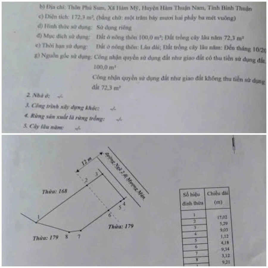 Bán đất 172m² kèm nhà kho mặt tiền Lâm Đồng - Ảnh 1