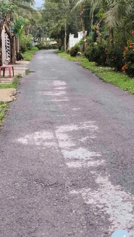 Bán đất nền mặt tiền lộ nhựa 300m2 tại Tân Thành Bình, Mỏ Cày Bắc, Bến Tre