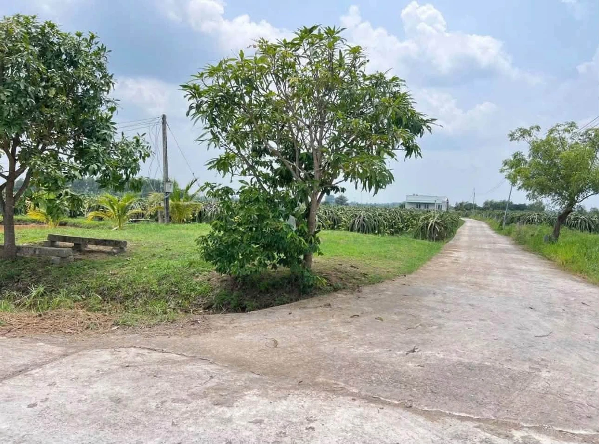 Bán lô đất vườn 7200m² thổ cư gần ngã tư Bảy Hải Hàm Liêm - Ảnh thu nhỏ 2