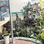 Bán nhà 1 trệt 1 lầu 235m² Nguyễn Hội Phan Thiết - Ảnh thu nhỏ 3