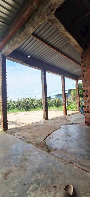 Bán đất thổ cư 600m² Tuyên Quang, Lâm Đồng 550 triệu